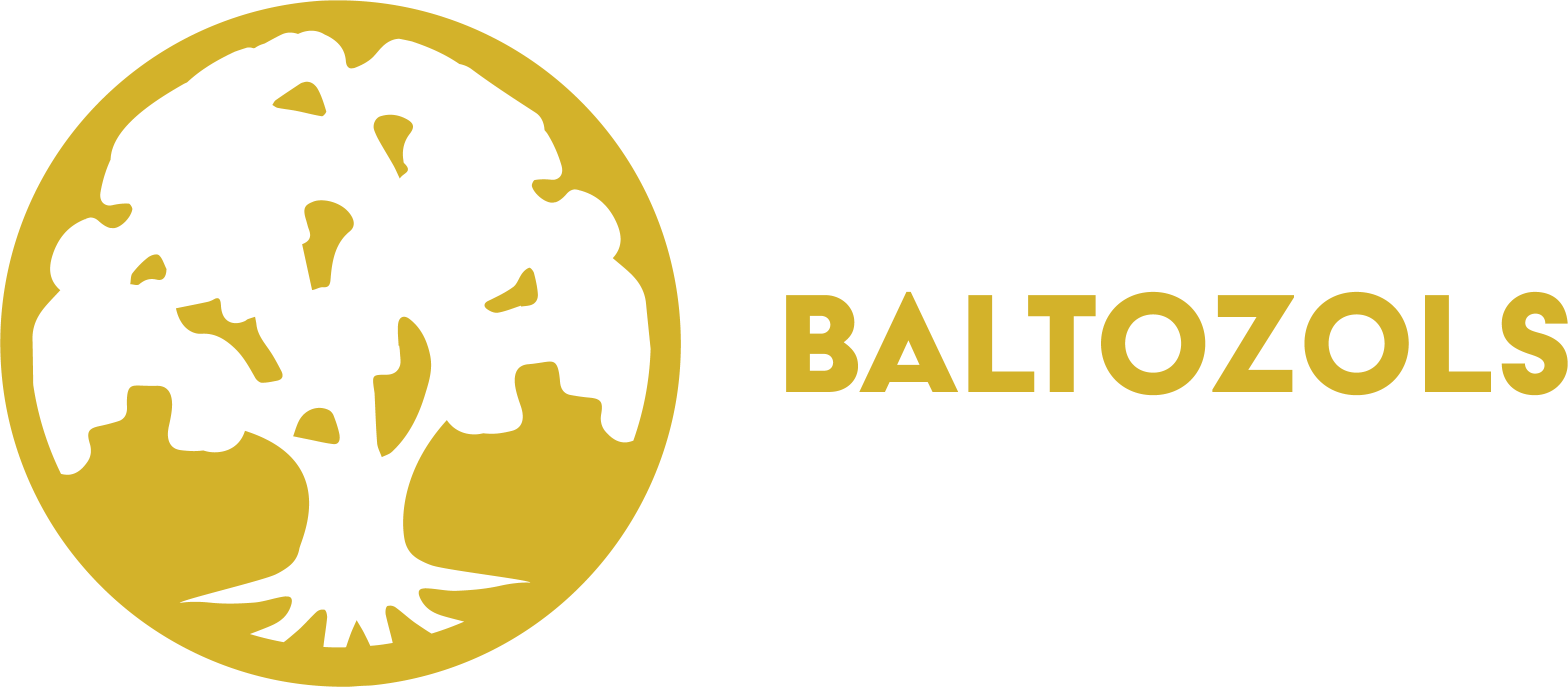 light logo